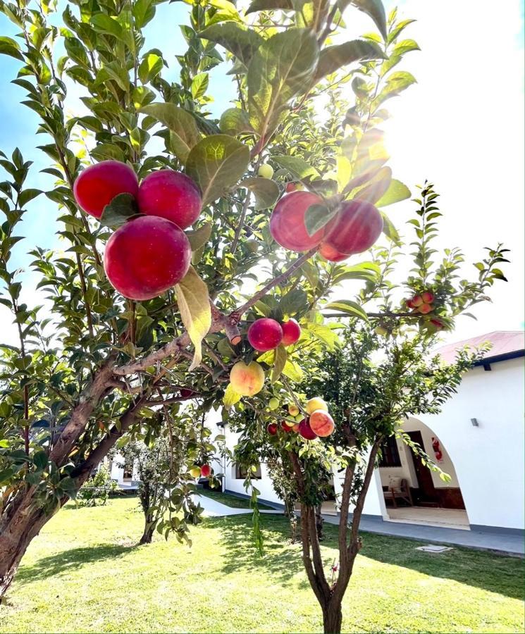 Bella Tilcara Boutique Hotel Buitenkant foto